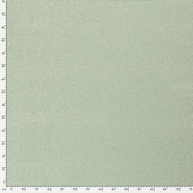Jersey de Polyester tissu Unicolore Menthe