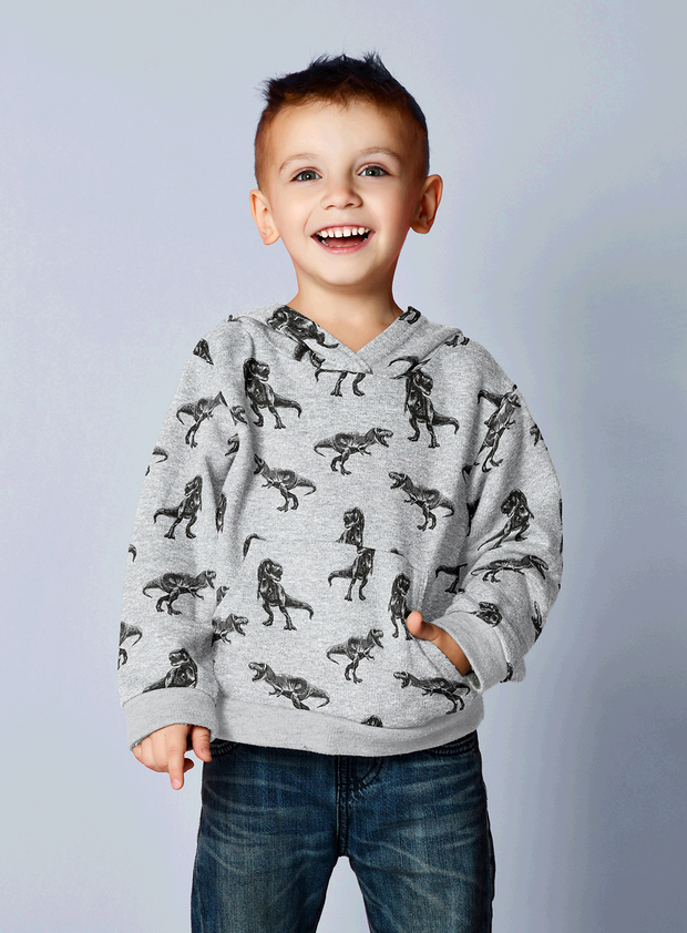 Alphen Fleece fabric Dinosaurs Middle Grey