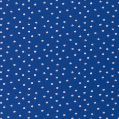 Cotton Jersey printed Flowers Cobalt