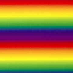 Polyester Jersey digital bedruckt Regenbogen Rot