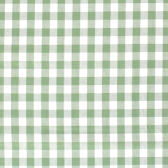 Katoen Poplin garengeverfd Ruiten Mint