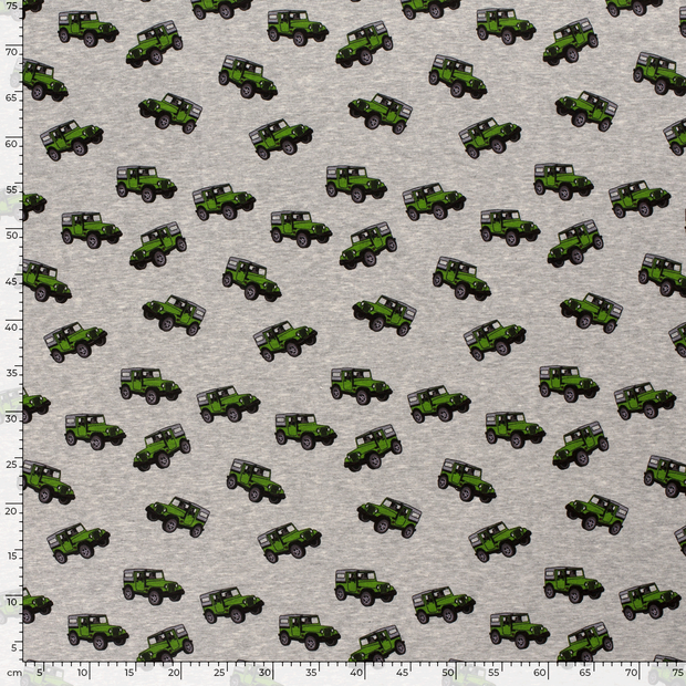 Alphen Fleece fabric Cars Green