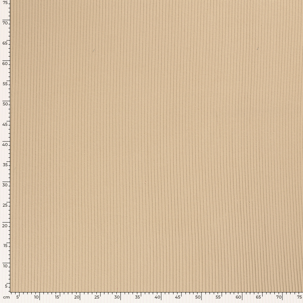 Rib Jersey tissu Unicolore Beige