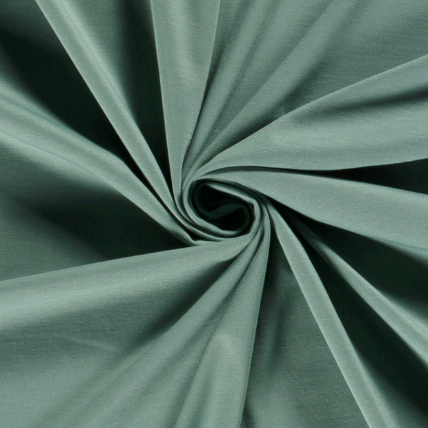 Punta di Roma fabric Unicolour Mint