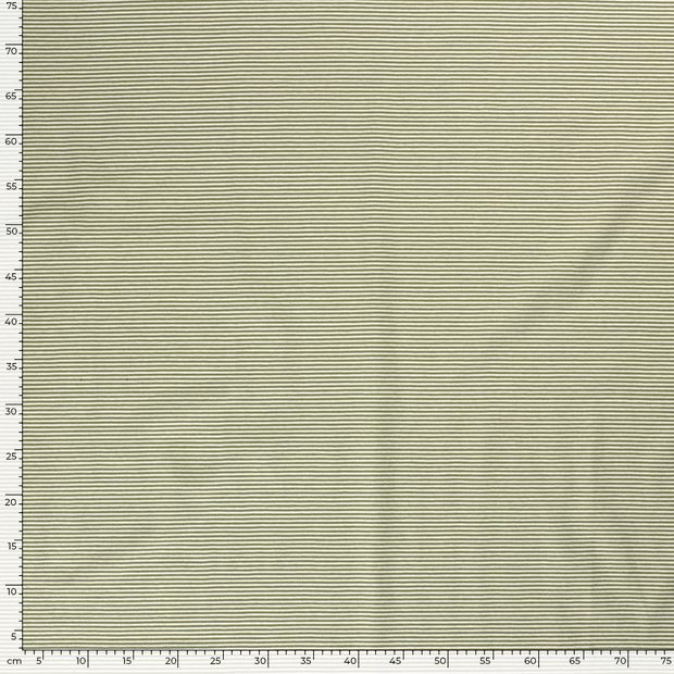 Cotton Jersey Yarn Dyed fabric Stripes Forest Green