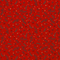 20716/015
