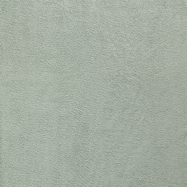 Terry Towelling fabric Mint matte 