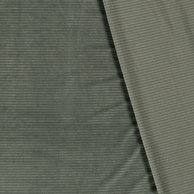 Velvet fabric Rib 