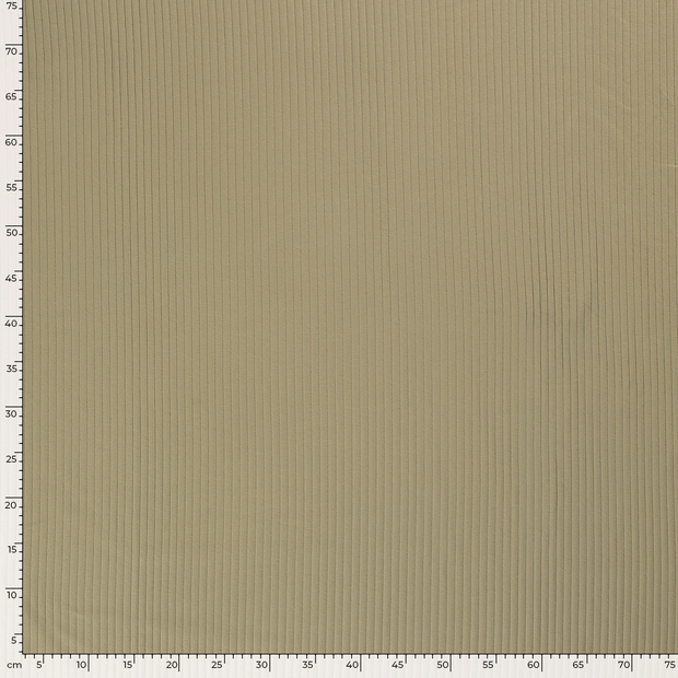 Rib Jersey tissu Unicolore Vert Olive