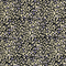 20067/035