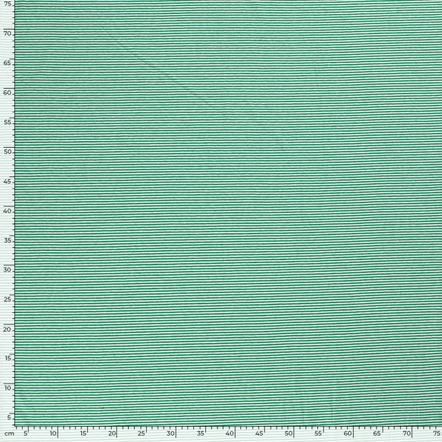 Cotton Jersey Yarn Dyed fabric Stripes Green