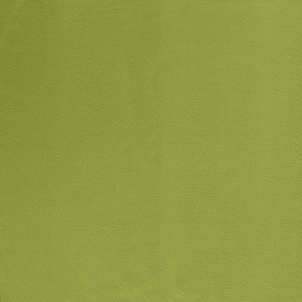 Polar Fleece fabric Olive Green soft 