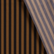 20807/055