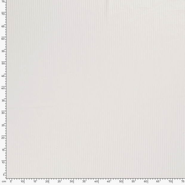 Rib Jersey fabric Unicolour Off White
