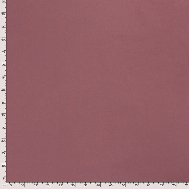 Jersey de Coton tissu Unicolore Pastèque