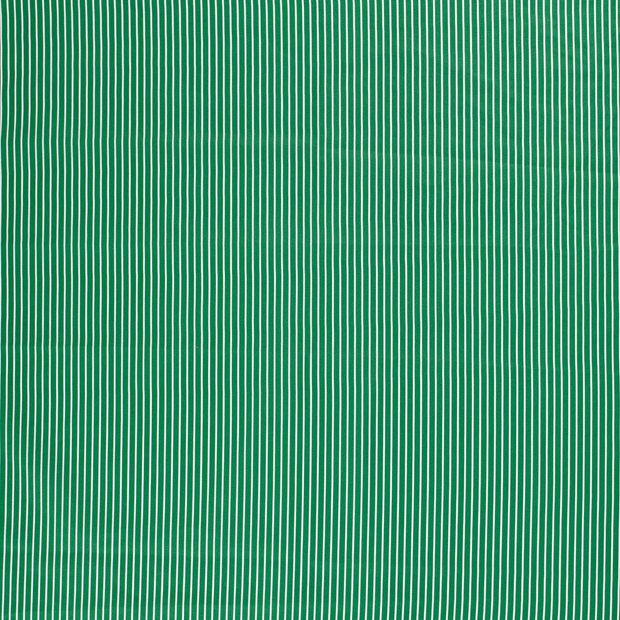 Baumwolle Popeline fabrik Grün matt 