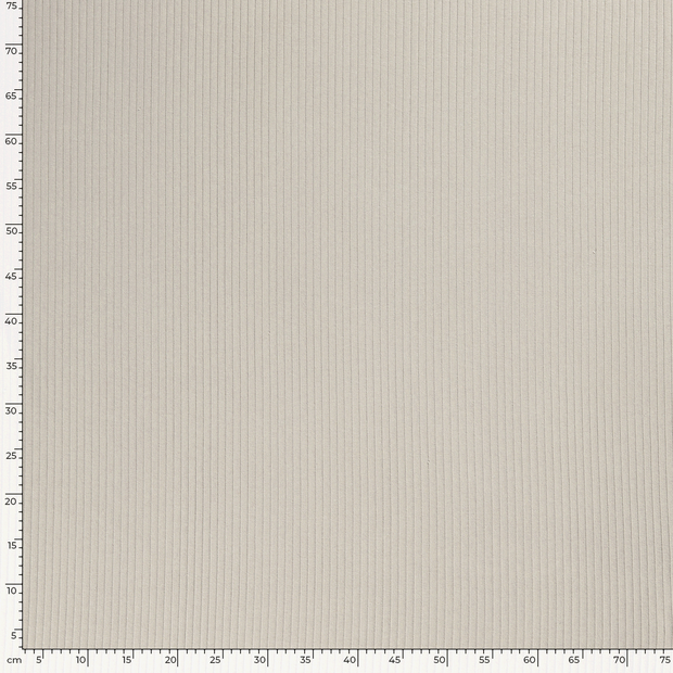 Rib Jersey fabric Unicolour Light Grey