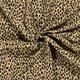 20066/153