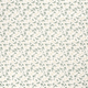 20717/051