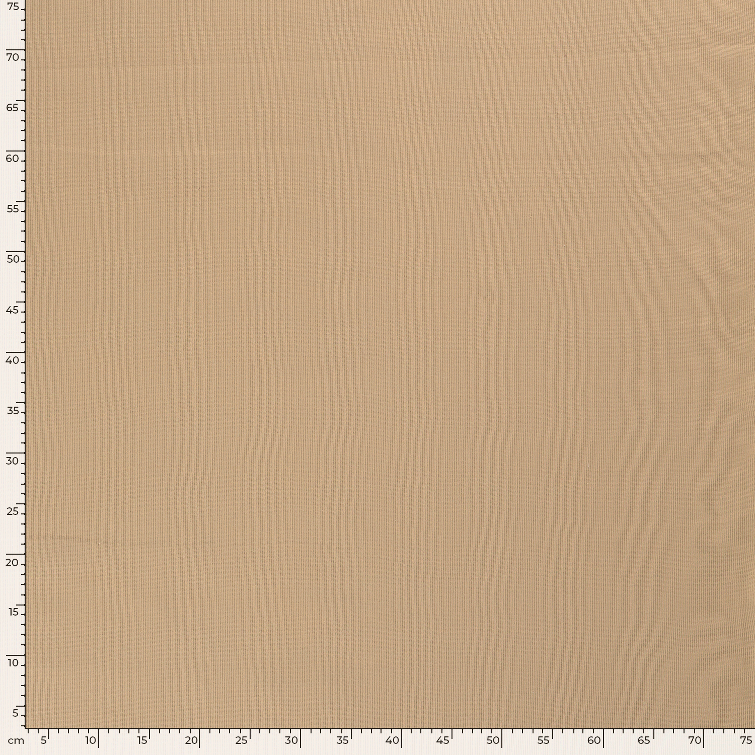 Rib Jersey fabric Unicolour Camel | Wholesale fabrics | Nooteboom Textiles