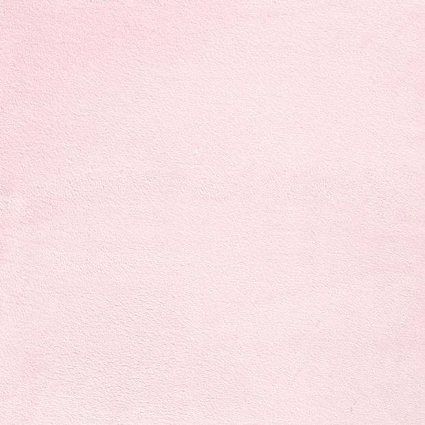 Coral Fleece fabric Light Pink soft 