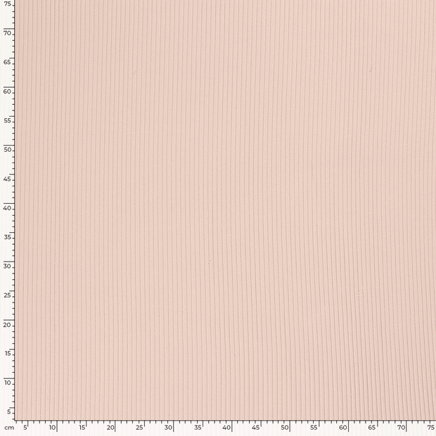 Rib Jersey tissu Unicolore Saumon