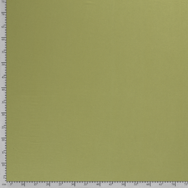 ECOVERO™ Jersey fabric Unicolour Green