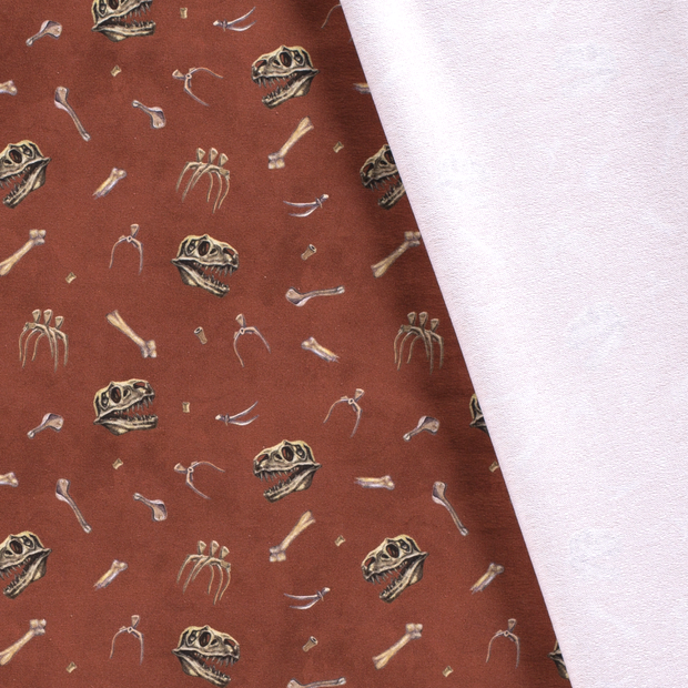 French Terry fabric Dinosaurs digital printed 