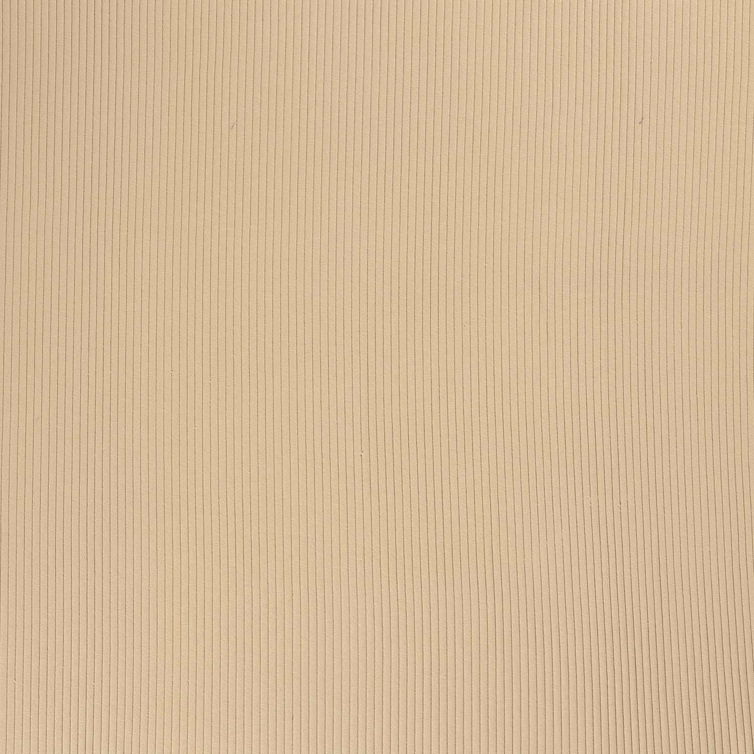 Rib Jersey fabric Unicolour Beige | Wholesale fabrics | Nooteboom Textiles
