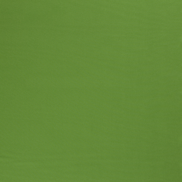 Burlington tissu Vert mat 