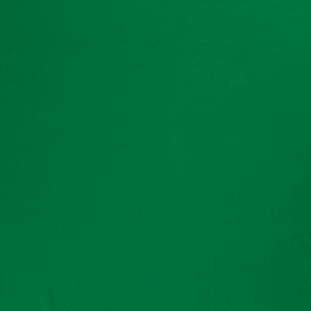 Cotton Jersey fabric Green 