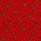 20736/015