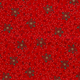 20736/015