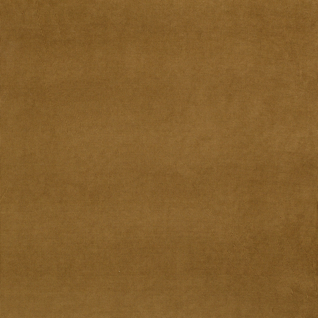 Babycord 21w fabric Camel matte 