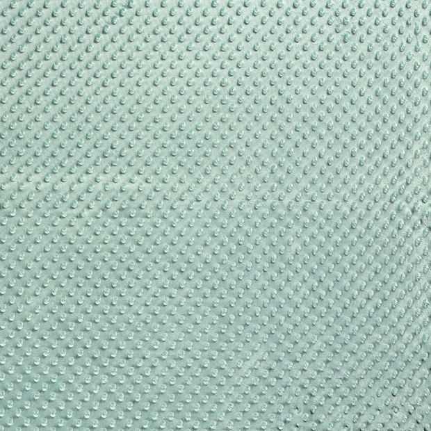 Minky fabric Mint soft 