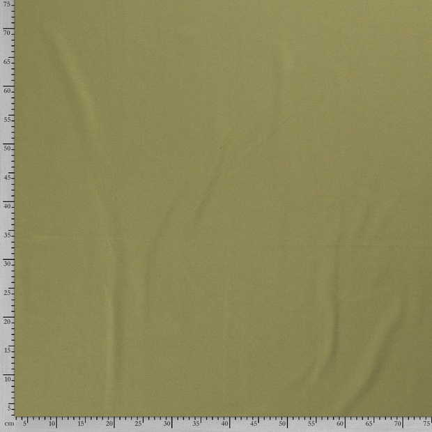 Punta di Roma fabric Unicolour Green