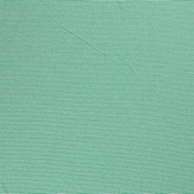 Katoen Jersey Garengeverfd stof Groen 