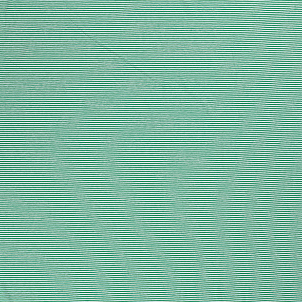 Cotton Jersey Yarn Dyed fabric Green 