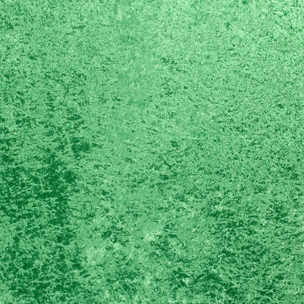 Velours fabric Green shimmering 