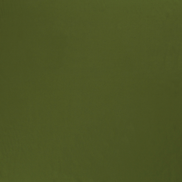 Jersey de Coton tissu Vert Forêt 