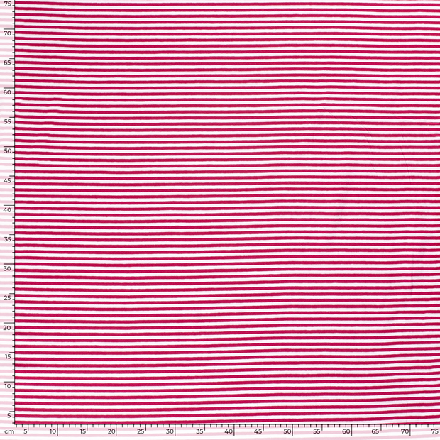 Cotton Jersey Yarn Dyed fabric Stripes Fuchsia