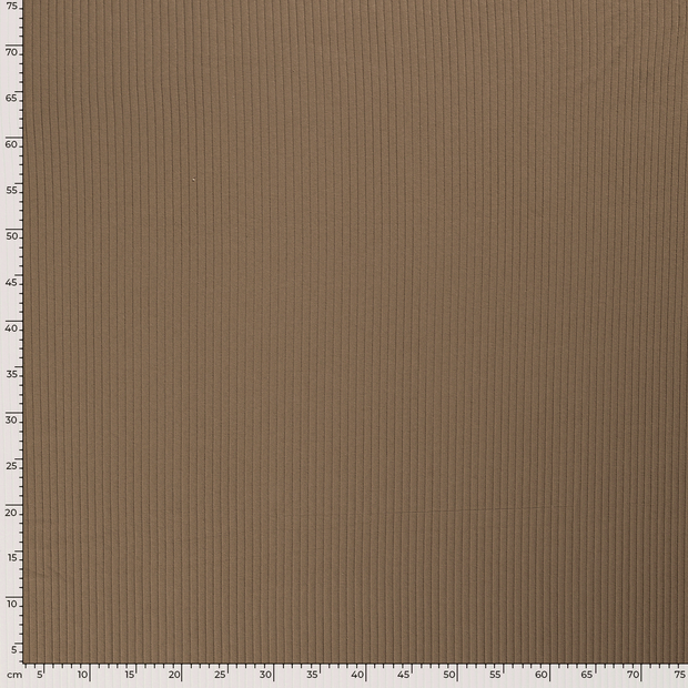 Rib Jersey fabric Unicolour Brown Taupe