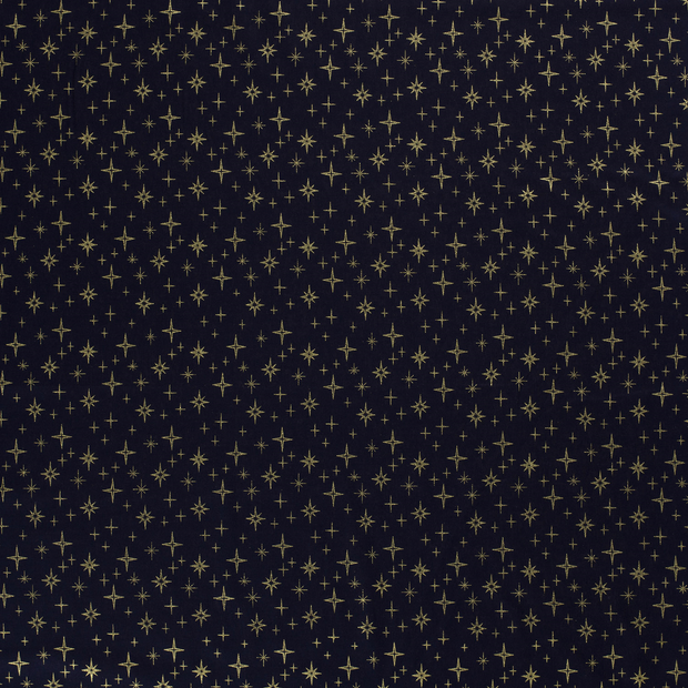 Cotton Poplin fabric  