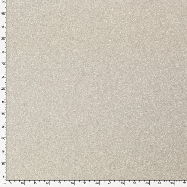 Polyamide Jersey fabric Unicolour Light Grey