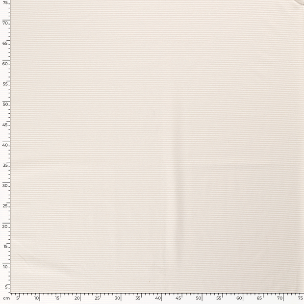 Cotton Jersey Yarn Dyed fabric Stripes Ivory