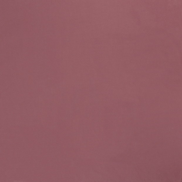 Cotton Jersey fabric Watermelon 
