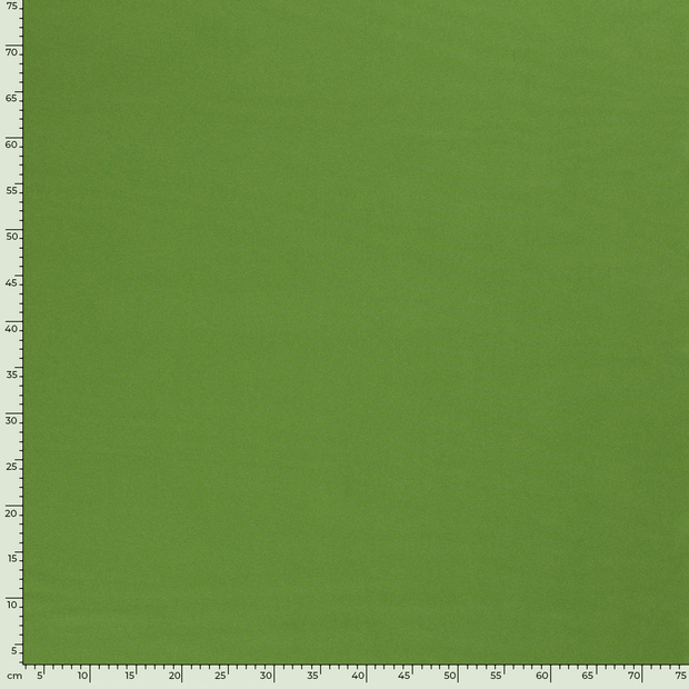 Power Stretch fabric Unicolour Green