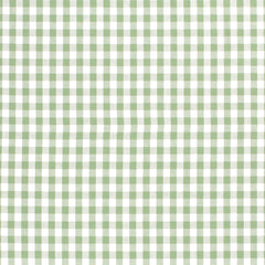 Katoen Poplin garengeverfd Ruiten Mint