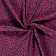 20066/017