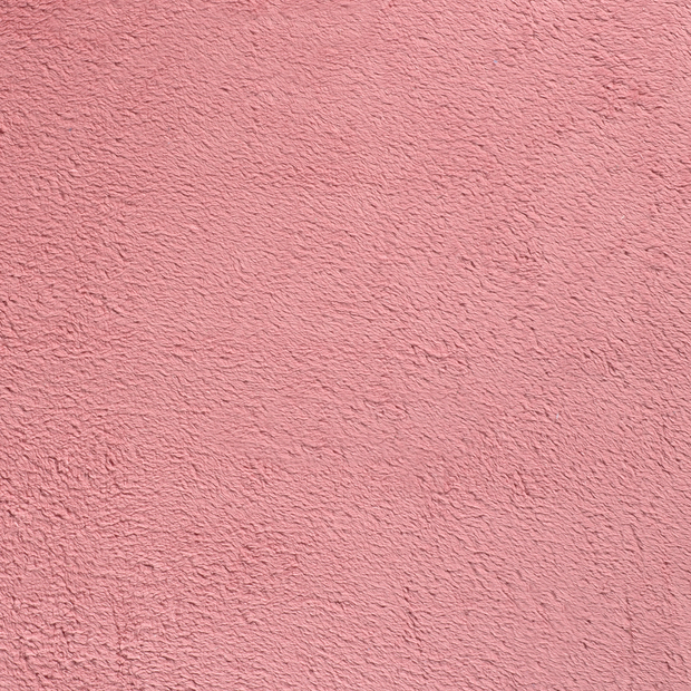 Teddy fabric Old Pink soft 